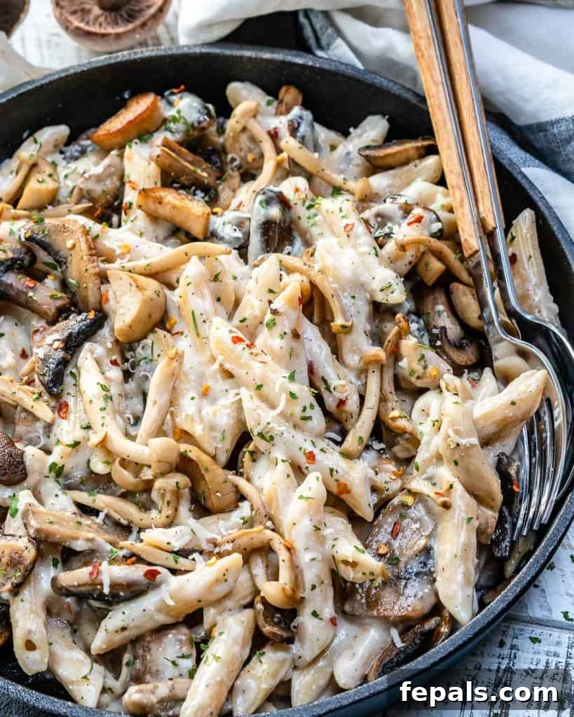 Velvety Wild Mushroom Pasta 3 top view creamy mushroom pasta in a skillet