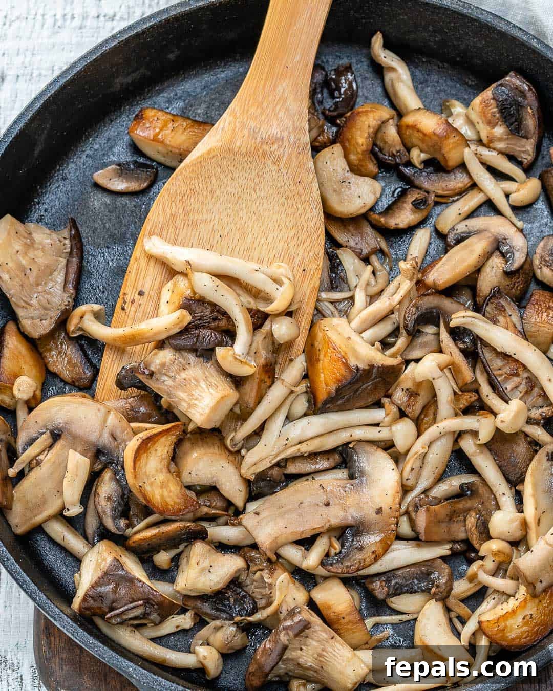 Velvety Wild Mushroom Pasta 4 creamy mushroom pasta