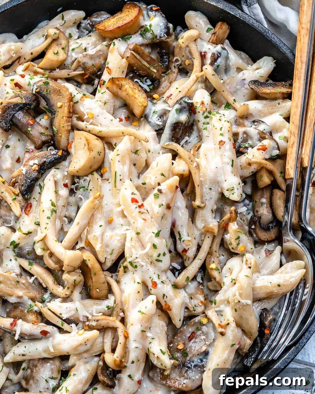 Velvety Wild Mushroom Pasta 6 easy pasta recipe
