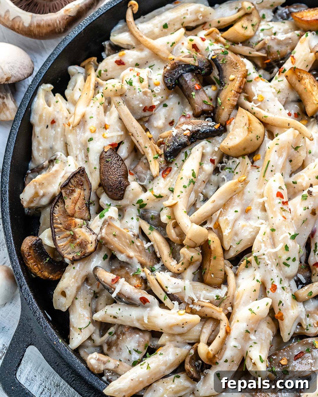 Velvety Wild Mushroom Pasta 7 mushroom pasta recipe