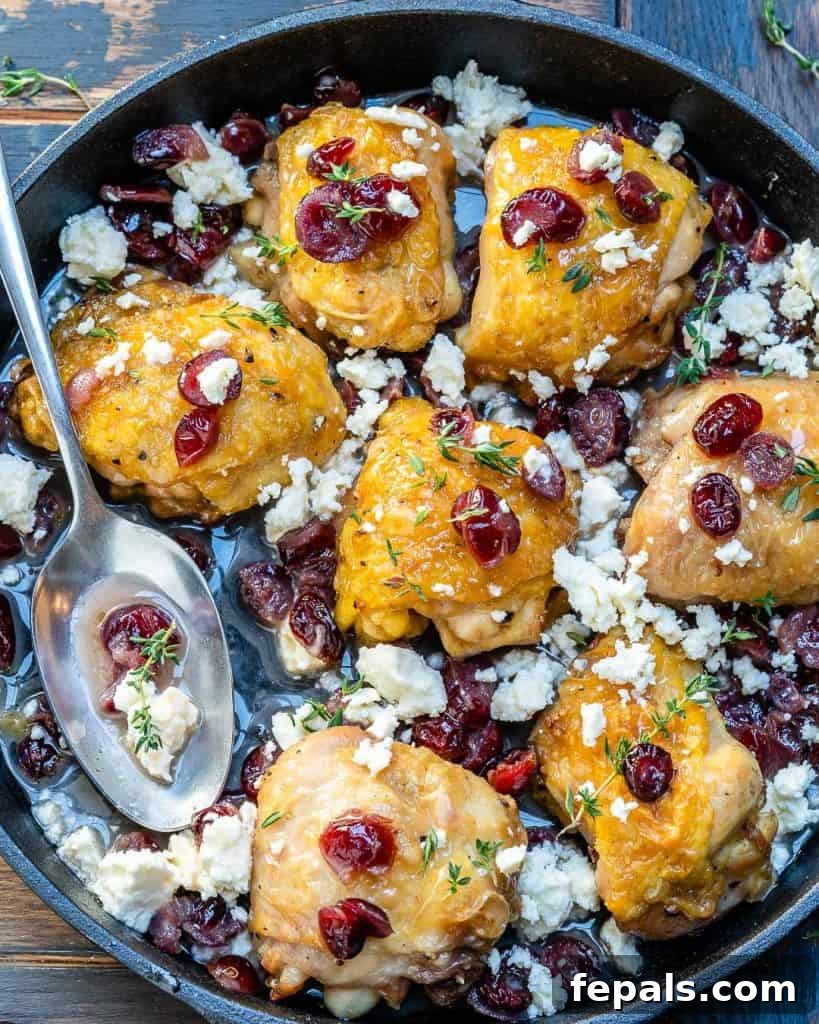 roasted chicken thighs in a black skillet with cranberries and feta cheese, garnished with fresh rosemary