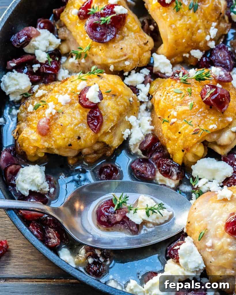 close-up of chicken thighs in skillet topped with cheese and cranberries and fresh herbs