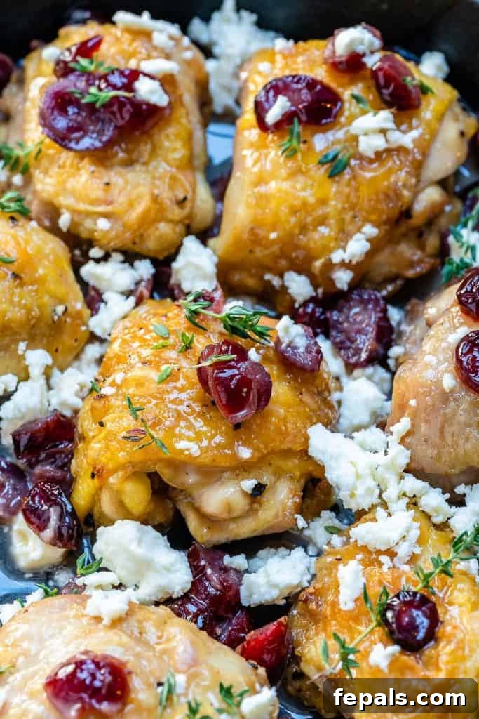 close up chicken thighs in a skillet topped with cranberries and feta cheese with fresh herbs