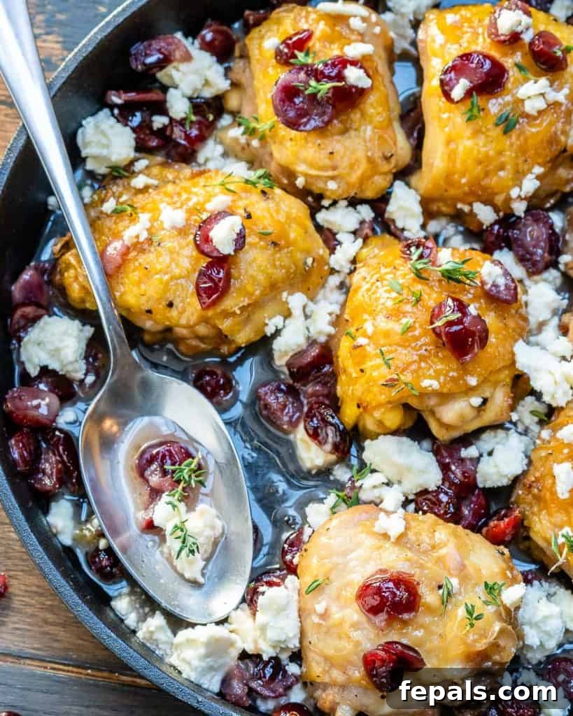 spoon in skillet with roasted chicken thighs, cranberries, and feta cheese