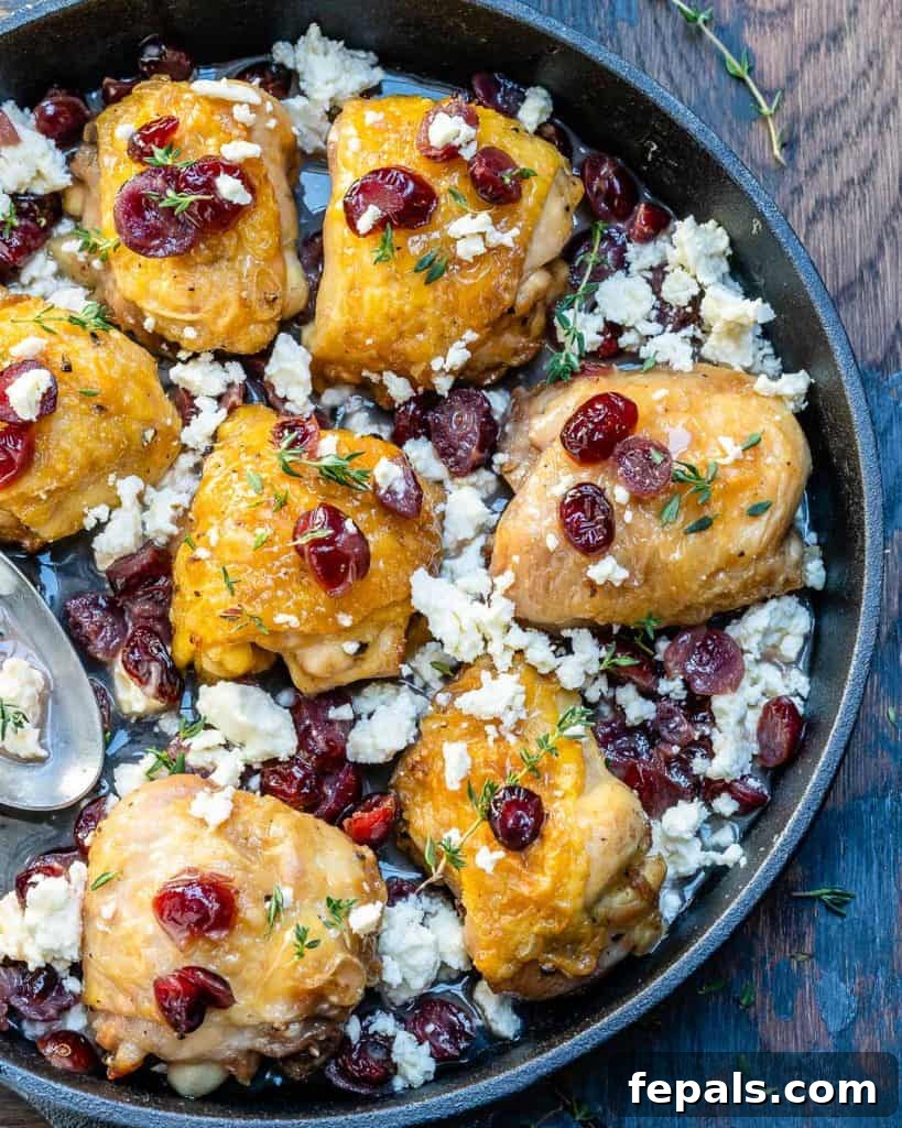 roasted chicken thighs in black skillet topped with cheese and cranberries, ready to serve