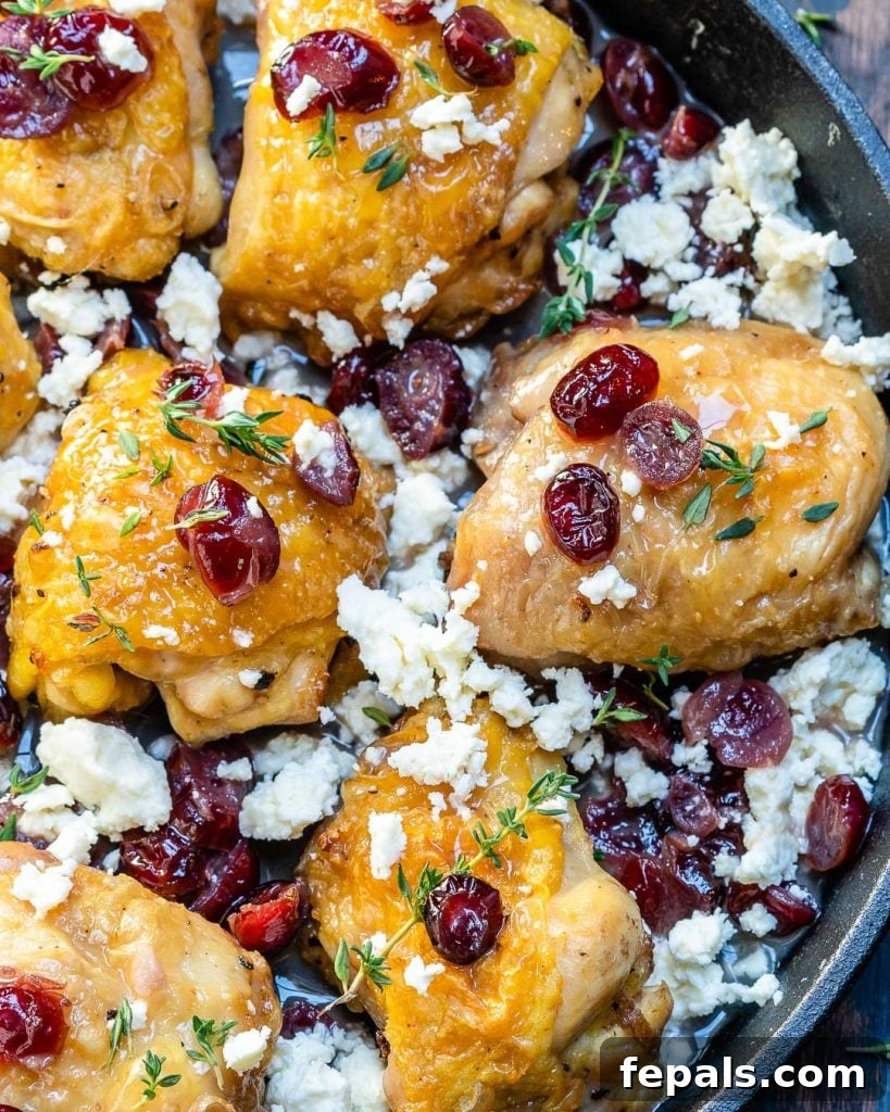 close up chicken thighs roasted with cranberries and feta cheese in a skillet, garnished with herbs