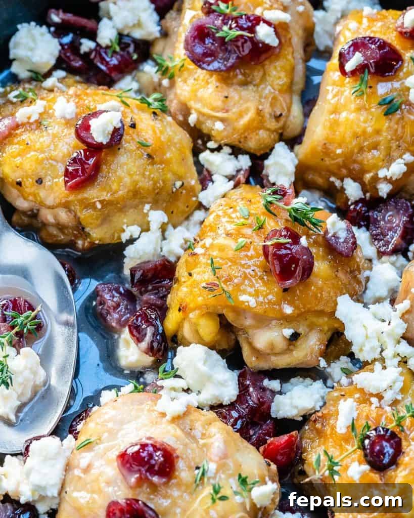 chicken thighs in a black skillet with cranberries and feta cheese, closeup