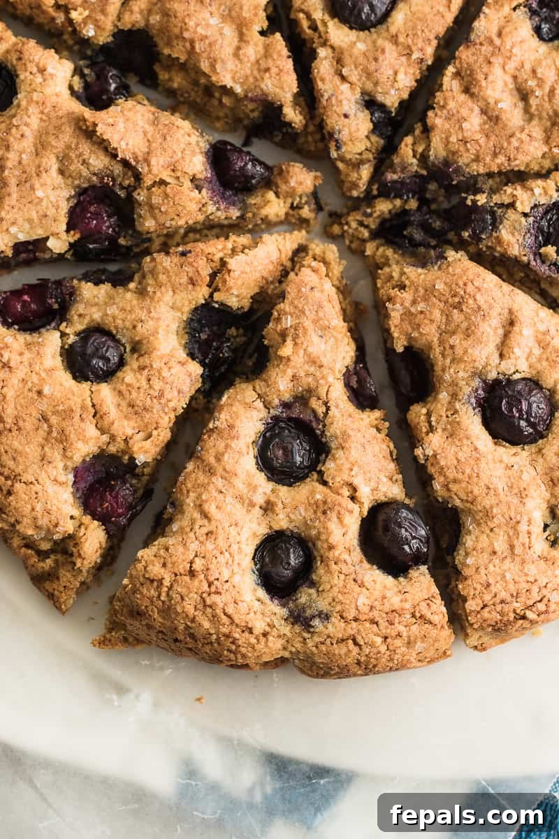 Berry Bliss Gluten-Free Scones 5 Overhead shot of gluten-free blueberry scones, showcasing their golden crust and juicy fruit.