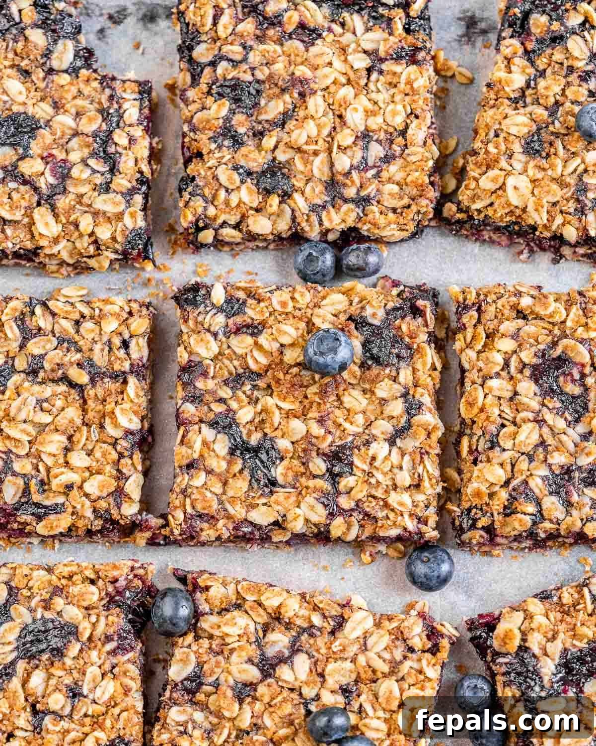 blueberry bars are cut into squares on a flat surface.
