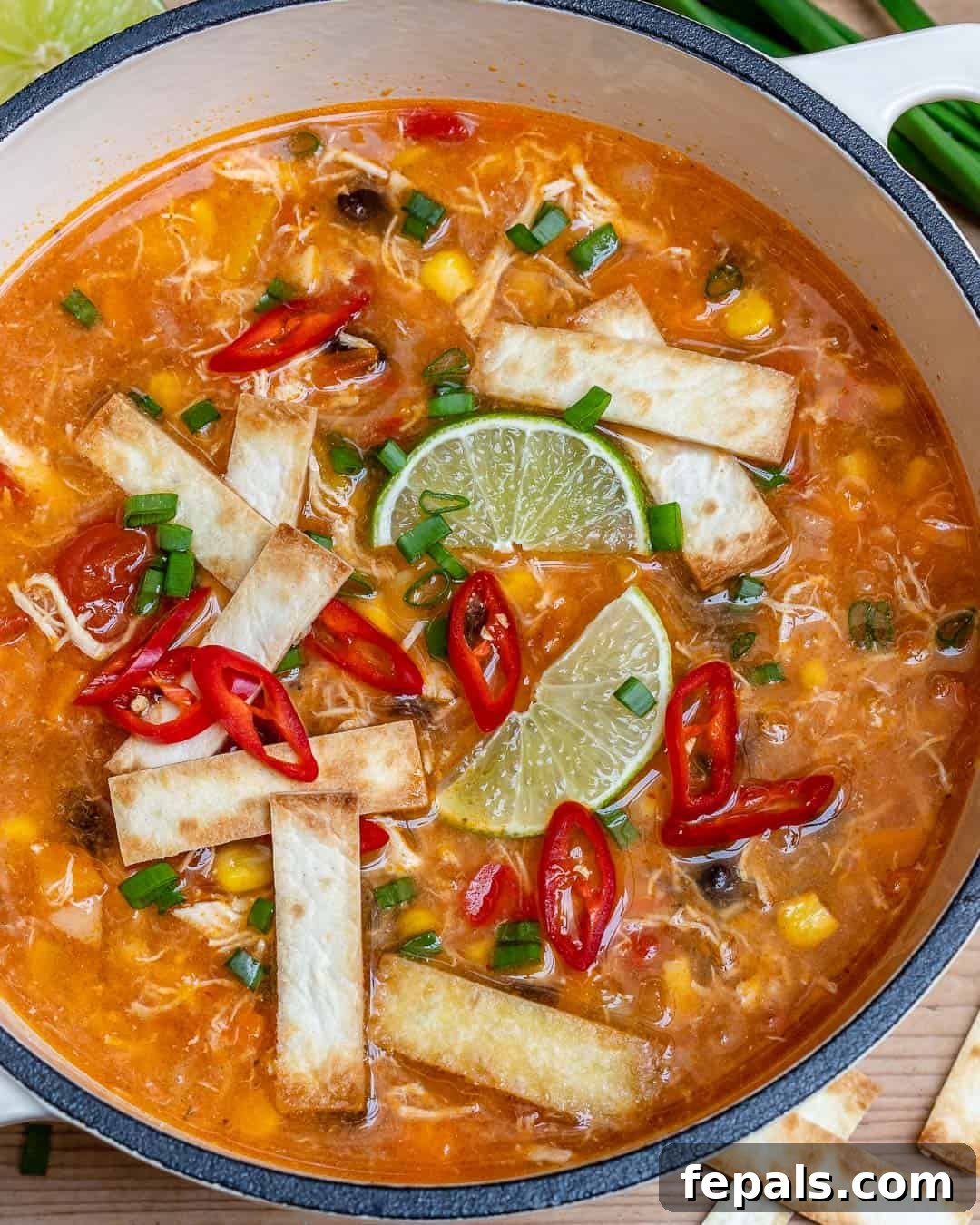 Flavorful and easy chili chicken tortilla soup