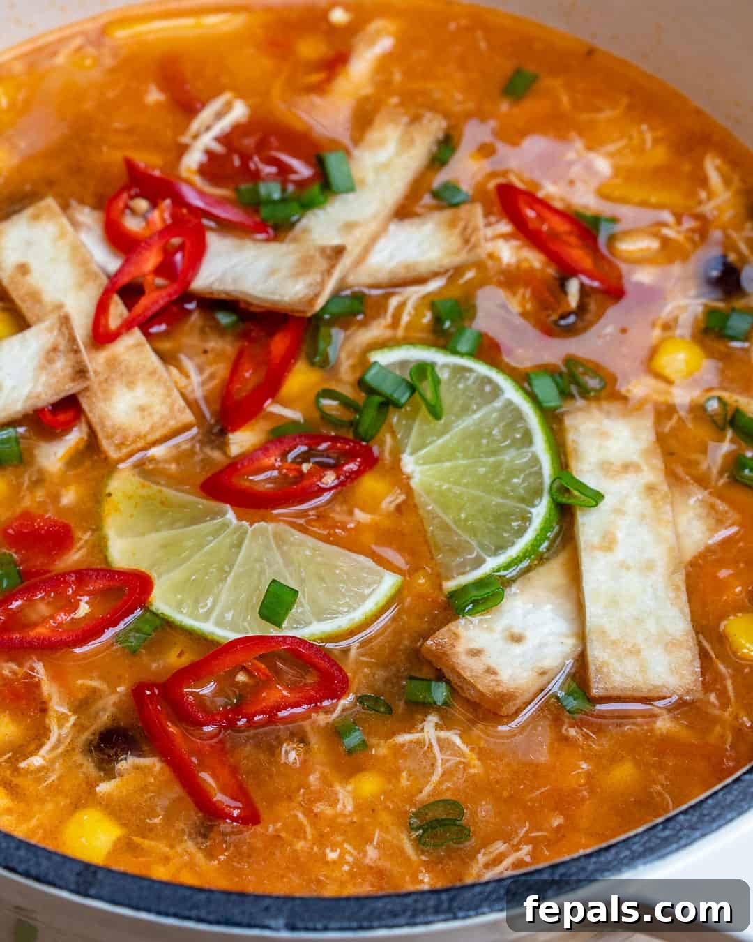 The ultimate chili chicken tortilla soup recipe, garnished with cilantro