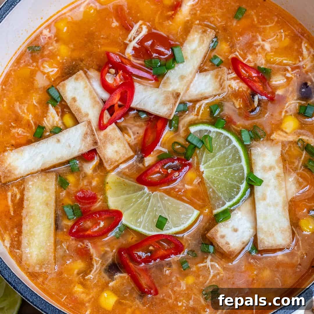 Healthy chicken tortilla soup ingredients prepared on a counter