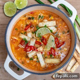 top view of a dutch oven that has chicken tortilla soup topped with tortilla