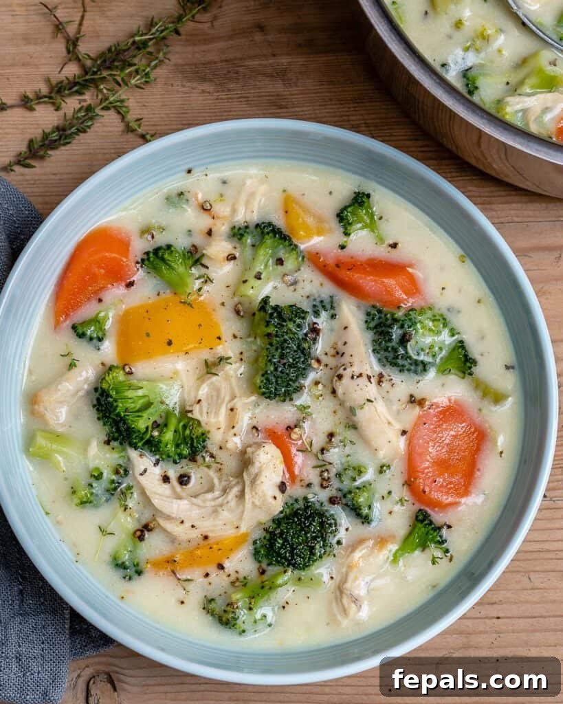 Velvety Chicken and Broccoli Potage 2 bowl of chicken and broccoli soup with carrots and peppers