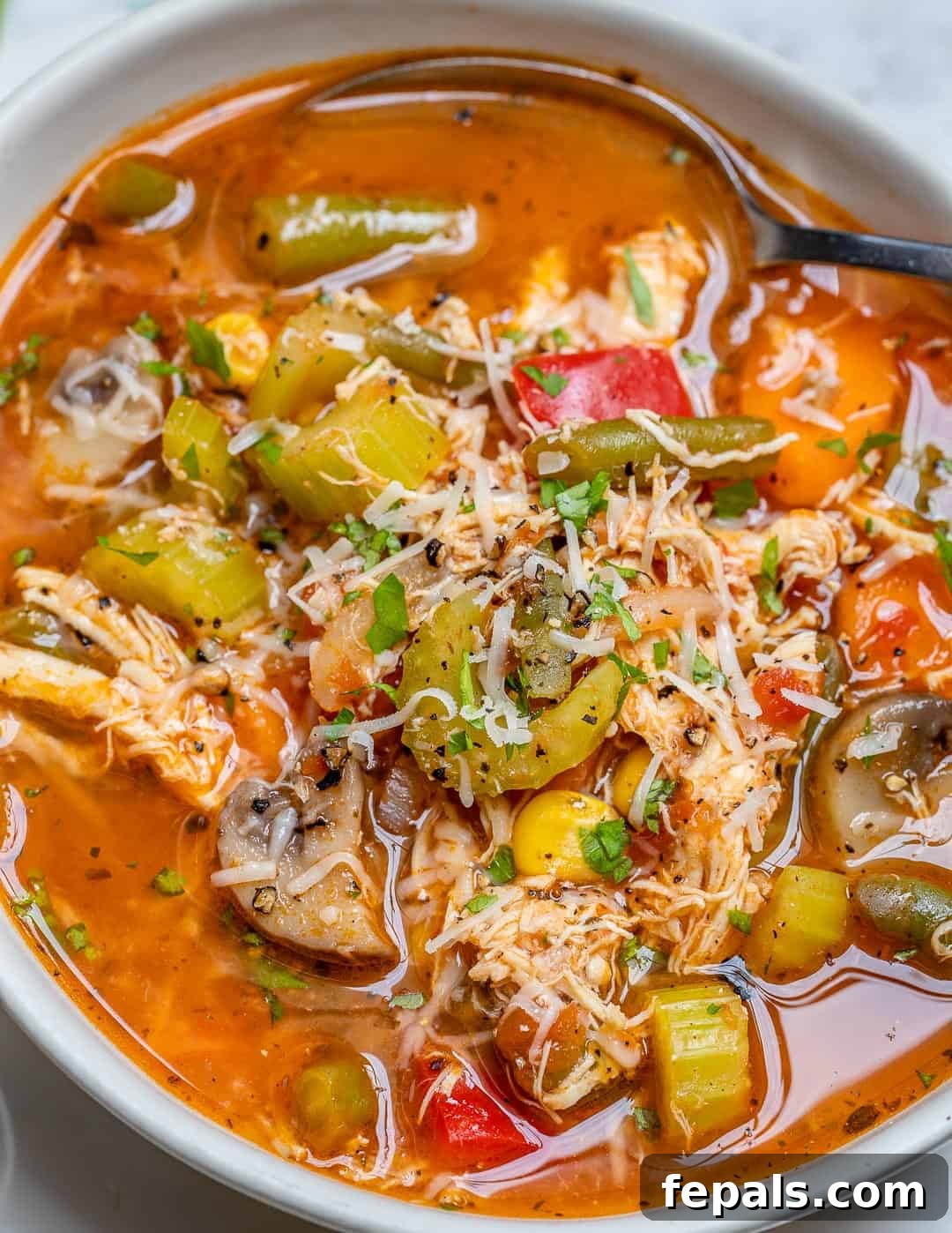 Rustic Italian Chicken Vegetable Soup 3 close up of chicken vegetable soup with parmesan and parsley