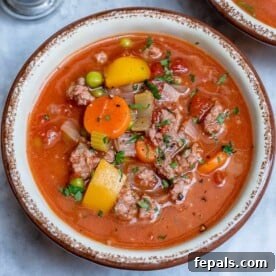easy hamburger soup