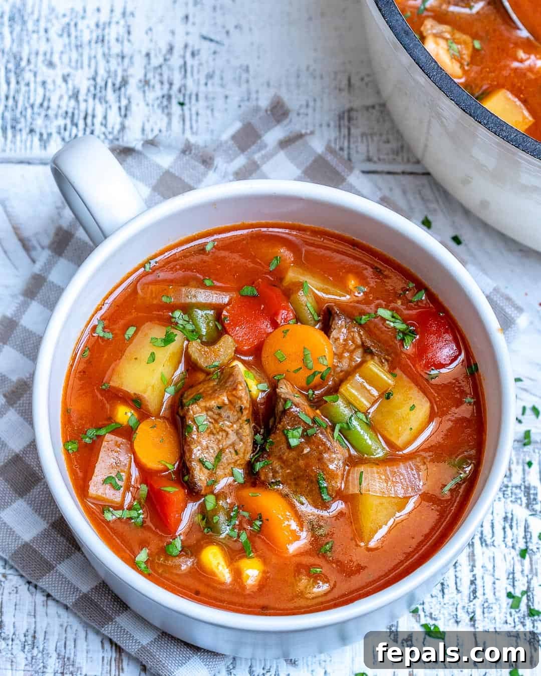 vegetable soup with beef
