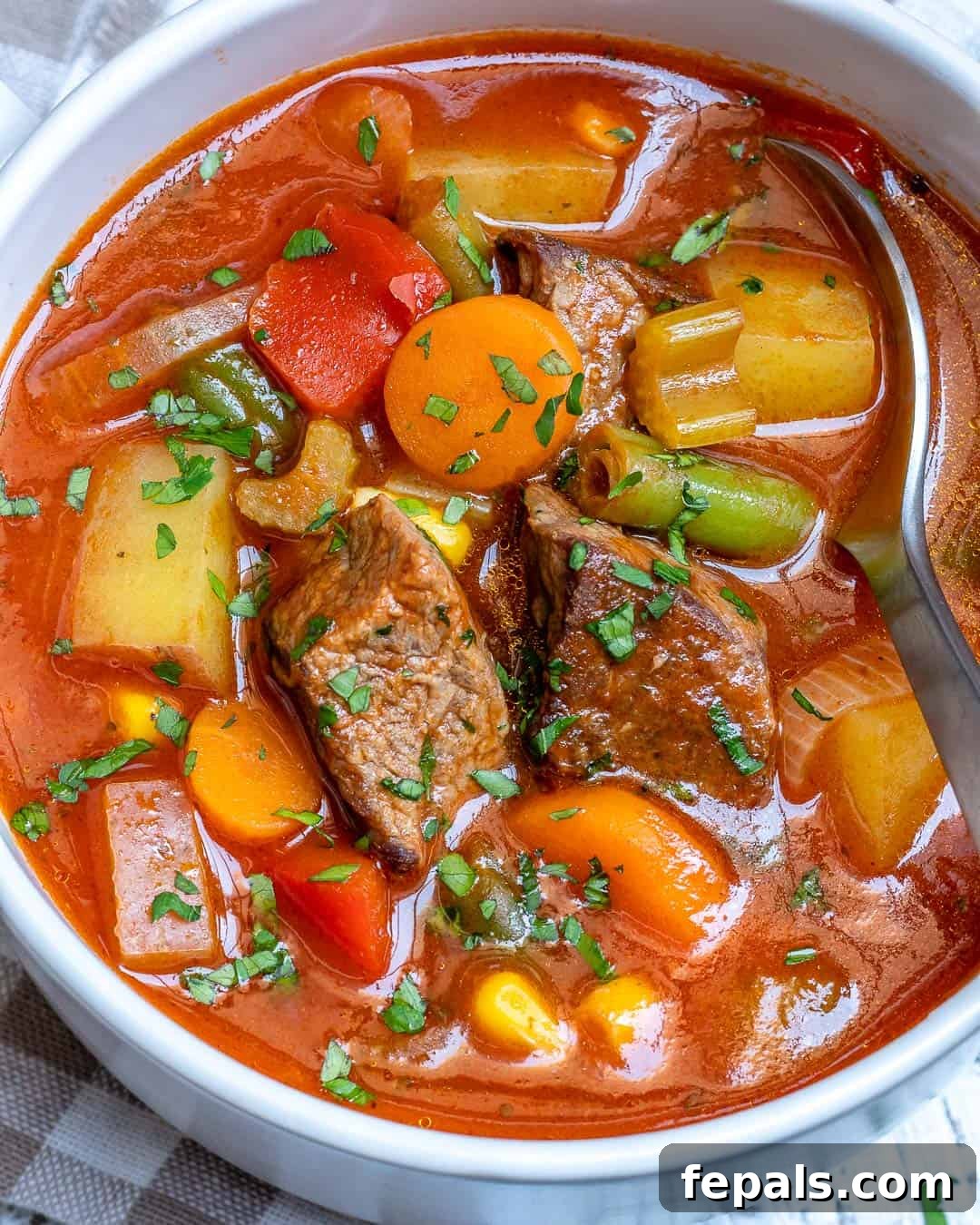 homemade beef and vegetable soup recipe