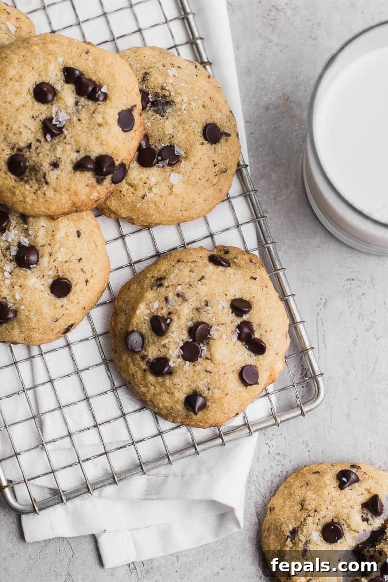 Sugar Free Chocolate Chip Keto Treats 2 Perfectly golden-brown keto chocolate chip cookies, stacked on a plate with a glass of milk beside them.