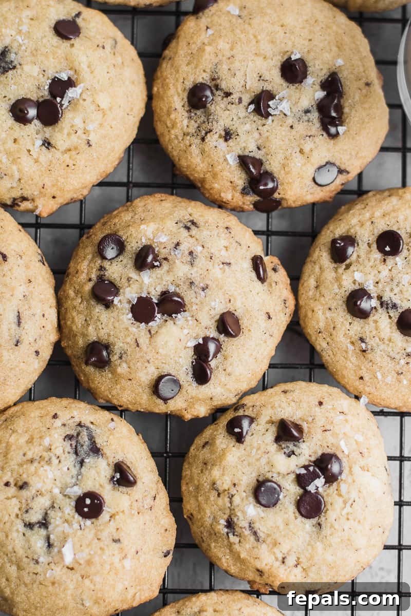 Sugar Free Chocolate Chip Keto Treats 3 Close-up top view of freshly baked keto chocolate chip cookies, delicately garnished with flaky sea salt.