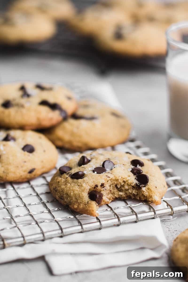 Sugar Free Chocolate Chip Keto Treats 4 A delicious keto chocolate chip cookie with a bite taken out, revealing its soft, chewy interior and rich chocolate.
