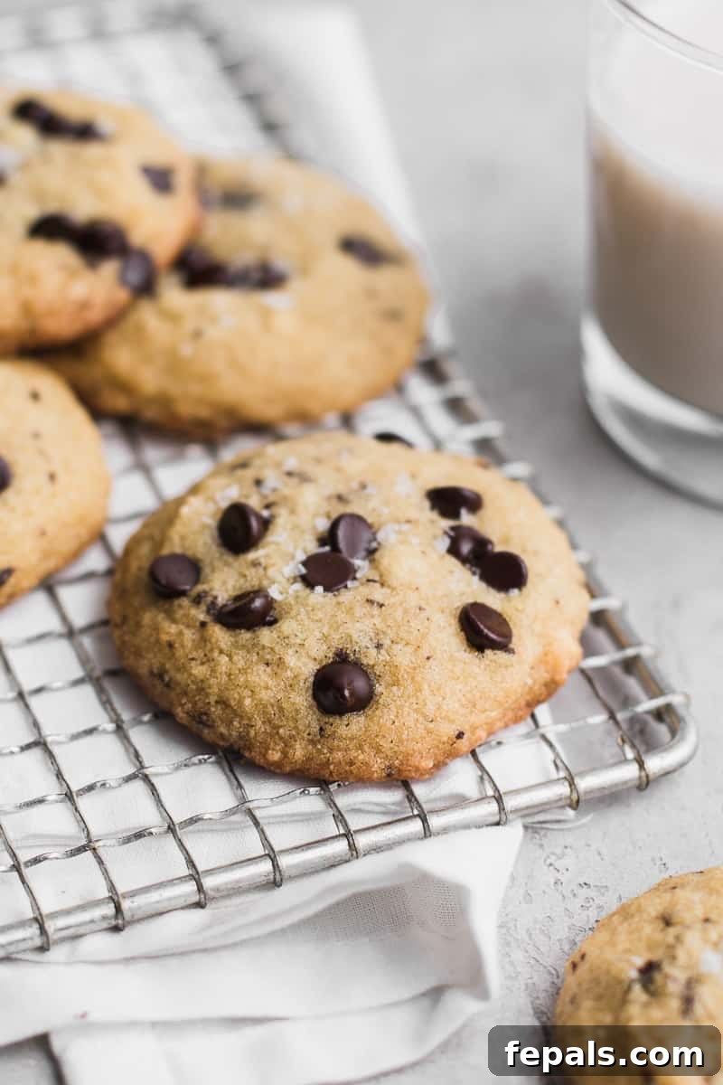 Sugar Free Chocolate Chip Keto Treats 5 Side view of a single keto chocolate chip cookie cooling on a wire rack, with other cookies slightly blurred in the background and a cup of milk.