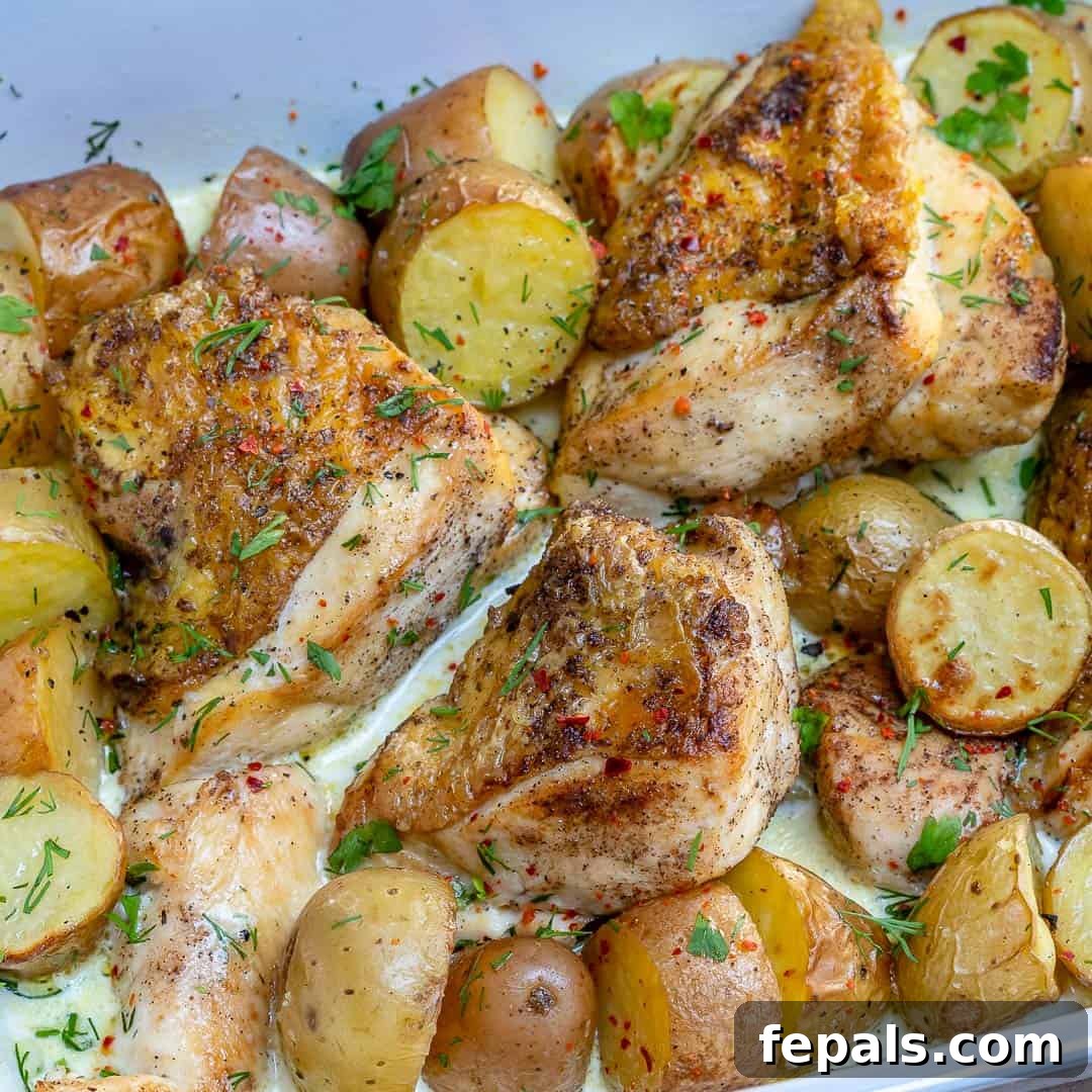 Easy chicken recipe with potatoes and herbs