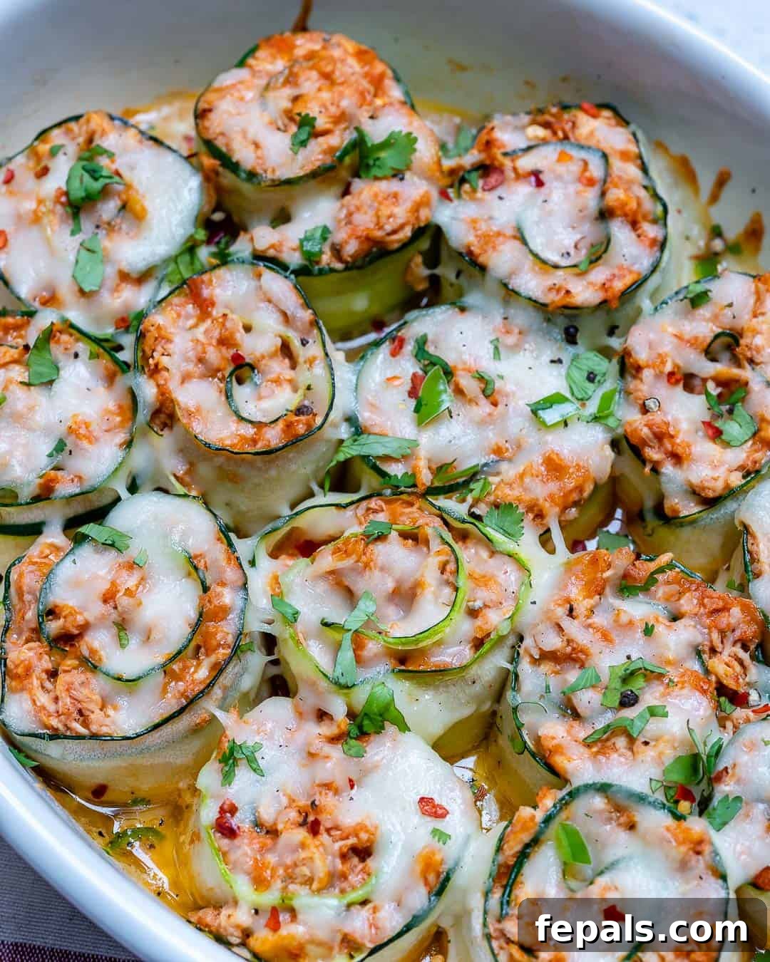 Overhead shot of perfectly arranged shredded chicken enchilada roll-ups, generously topped with melted cheese and fresh cilantro, in a white dish.