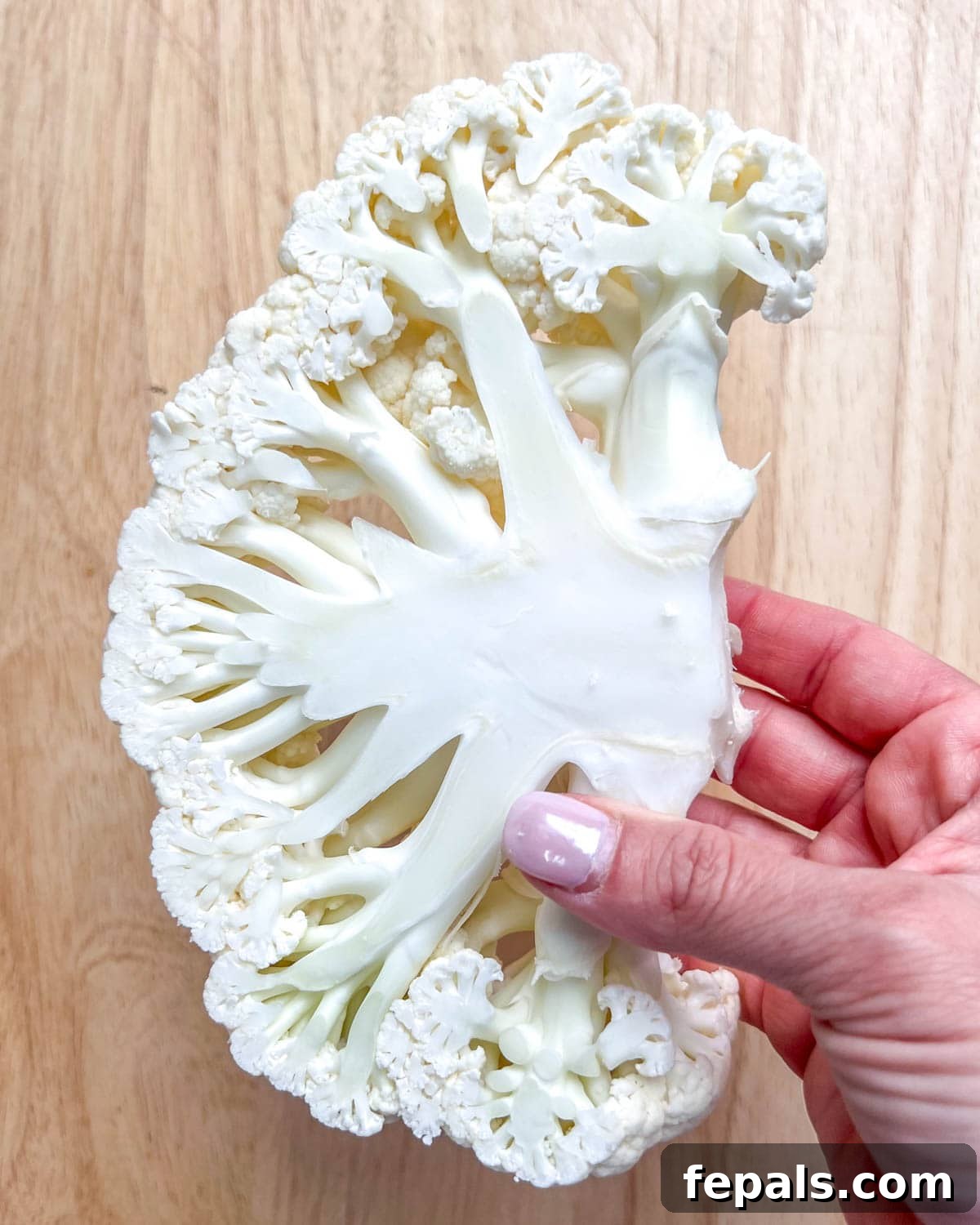 Chargrilled Cauliflower Steaks with Fresh Chimichurri 6 A hand carefully holding a perfectly sliced cauliflower steak, showcasing its robust form.