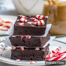 Chocolate peanut butter fudge squares topped with peppermint on a plate.