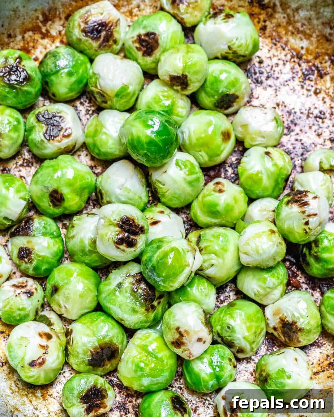 Creamy Chicken Alfredo with Roasted Brussels Sprouts 3 sautéed brussel sprouts