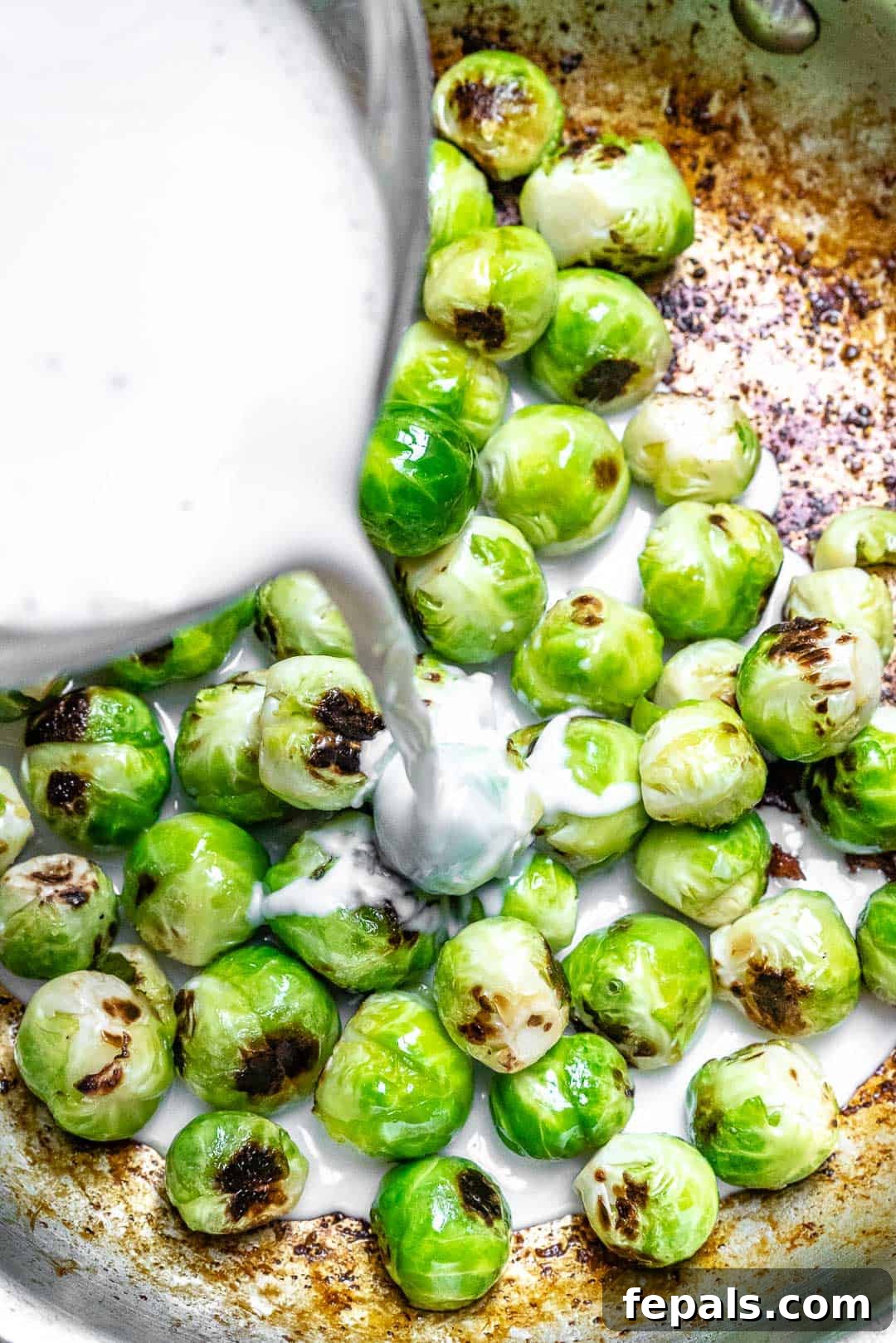 Creamy Chicken Alfredo with Roasted Brussels Sprouts 4 homemade alfredo sauce recipe