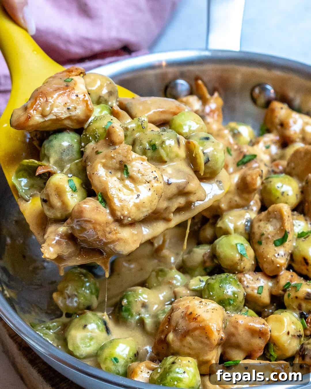 Creamy Chicken Alfredo with Roasted Brussels Sprouts 5 best chicken alfredo recipe