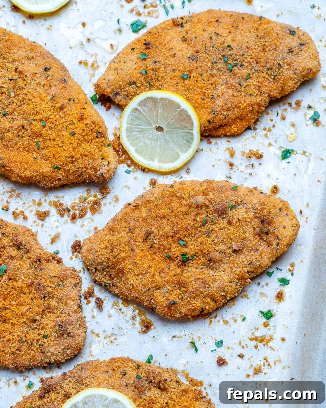 Golden Baked Chicken Cutlets 9 roasted chicken breast cutlets on a sheet pan, freshly baked