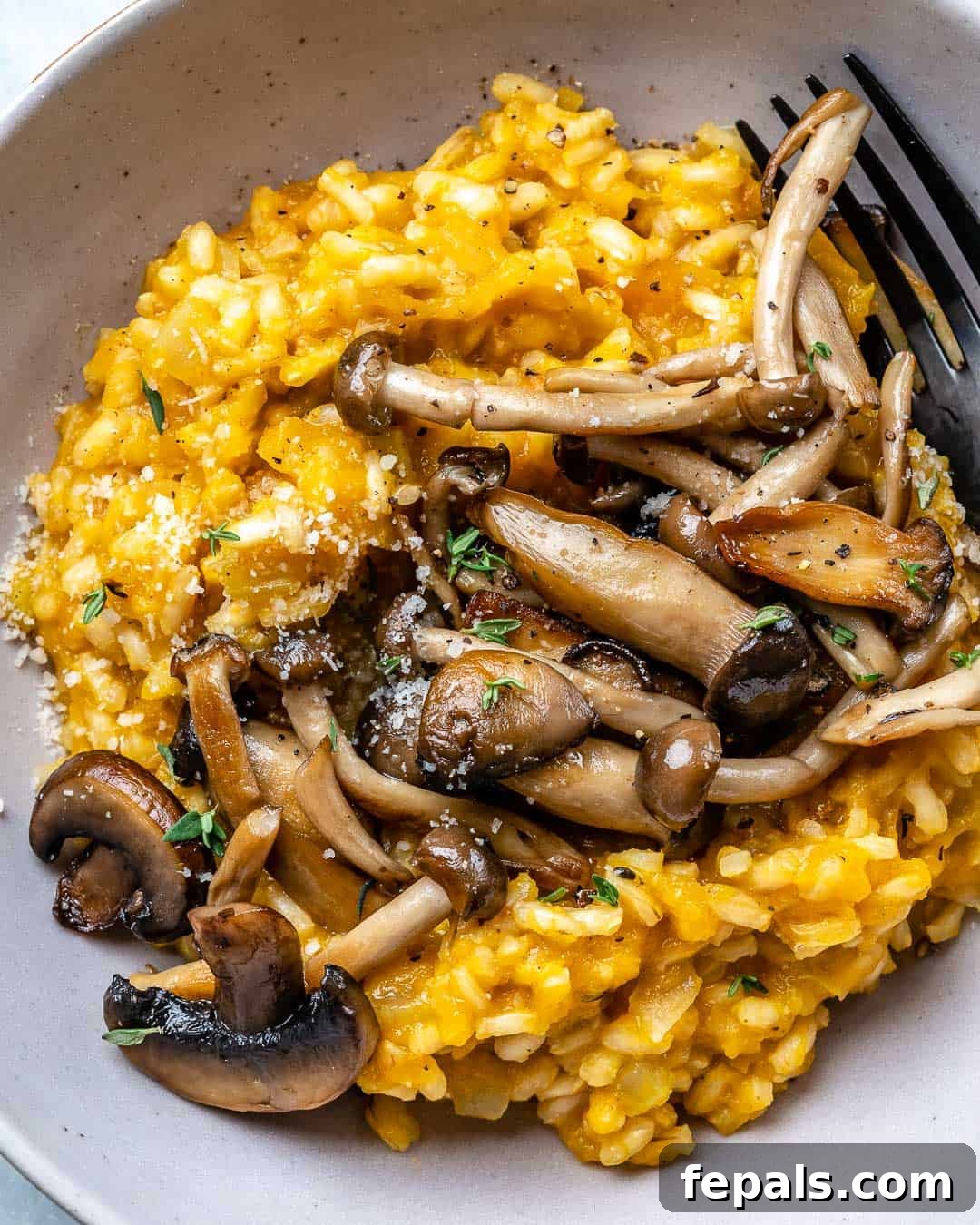 Golden Squash and Earthy Mushroom Risotto 2 Creamy Butternut Squash Risotto with Sautéed Mushrooms