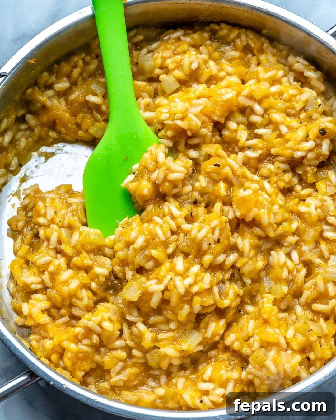 Golden Squash and Earthy Mushroom Risotto 5 Pureed Butternut Squash and Parmesan