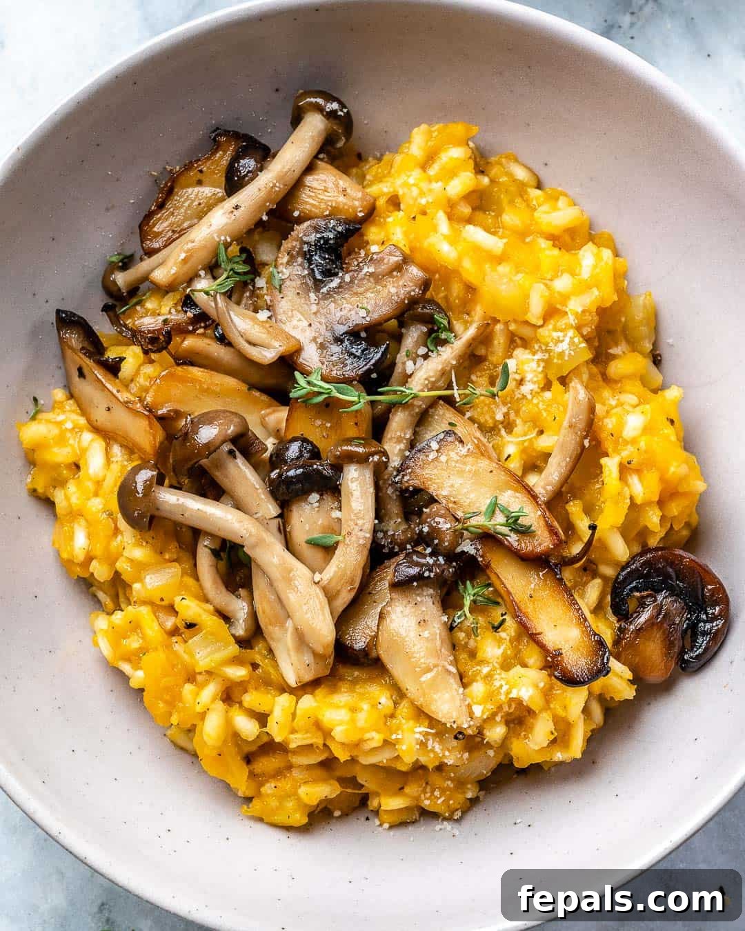 Golden Squash and Earthy Mushroom Risotto 6 Garnished Vegetarian Butternut Squash Risotto
