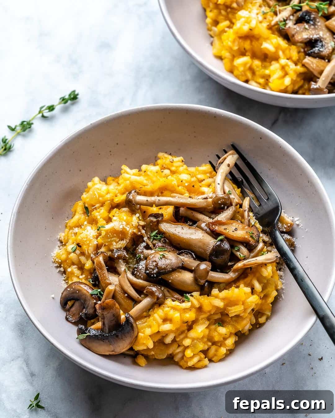 Golden Squash and Earthy Mushroom Risotto 8 Easy Creamy Vegetarian Risotto Prepared for Reheating
