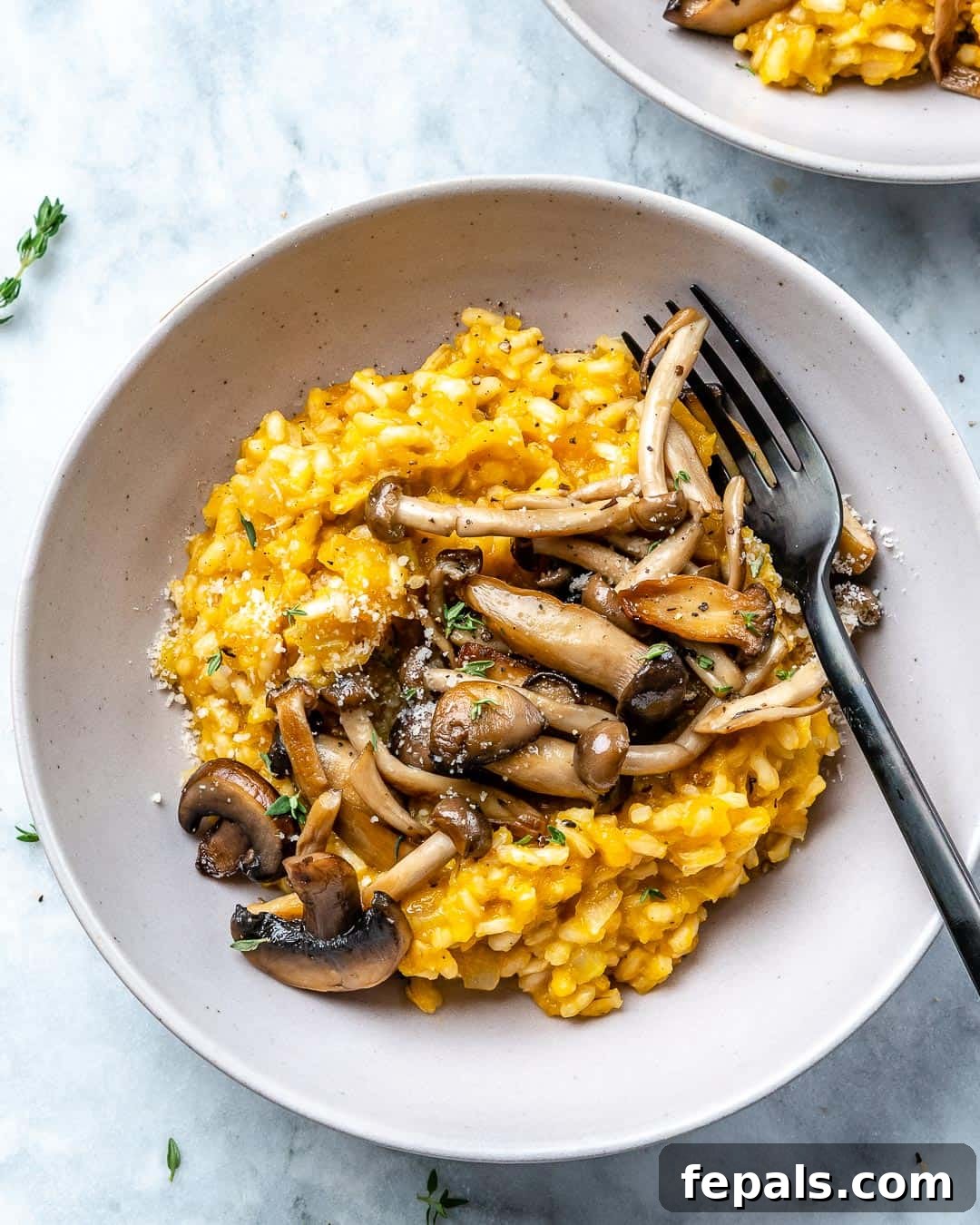 Golden Squash and Earthy Mushroom Risotto 9 Easy and Creamy Risotto Recipe Ready to Be Reheated