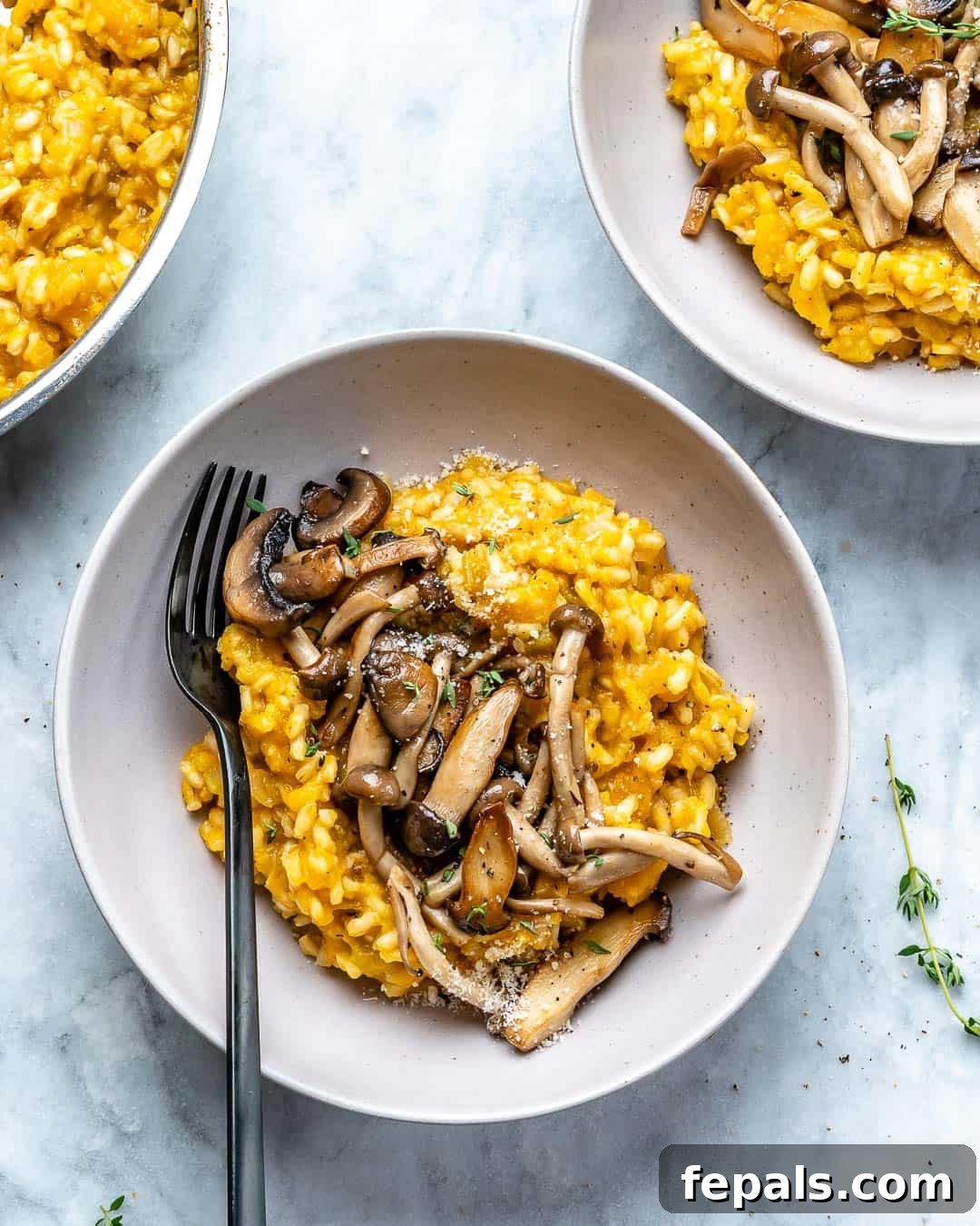 Golden Squash and Earthy Mushroom Risotto 10 Healthy Mushroom Risotto Recipe Plated and Garnished