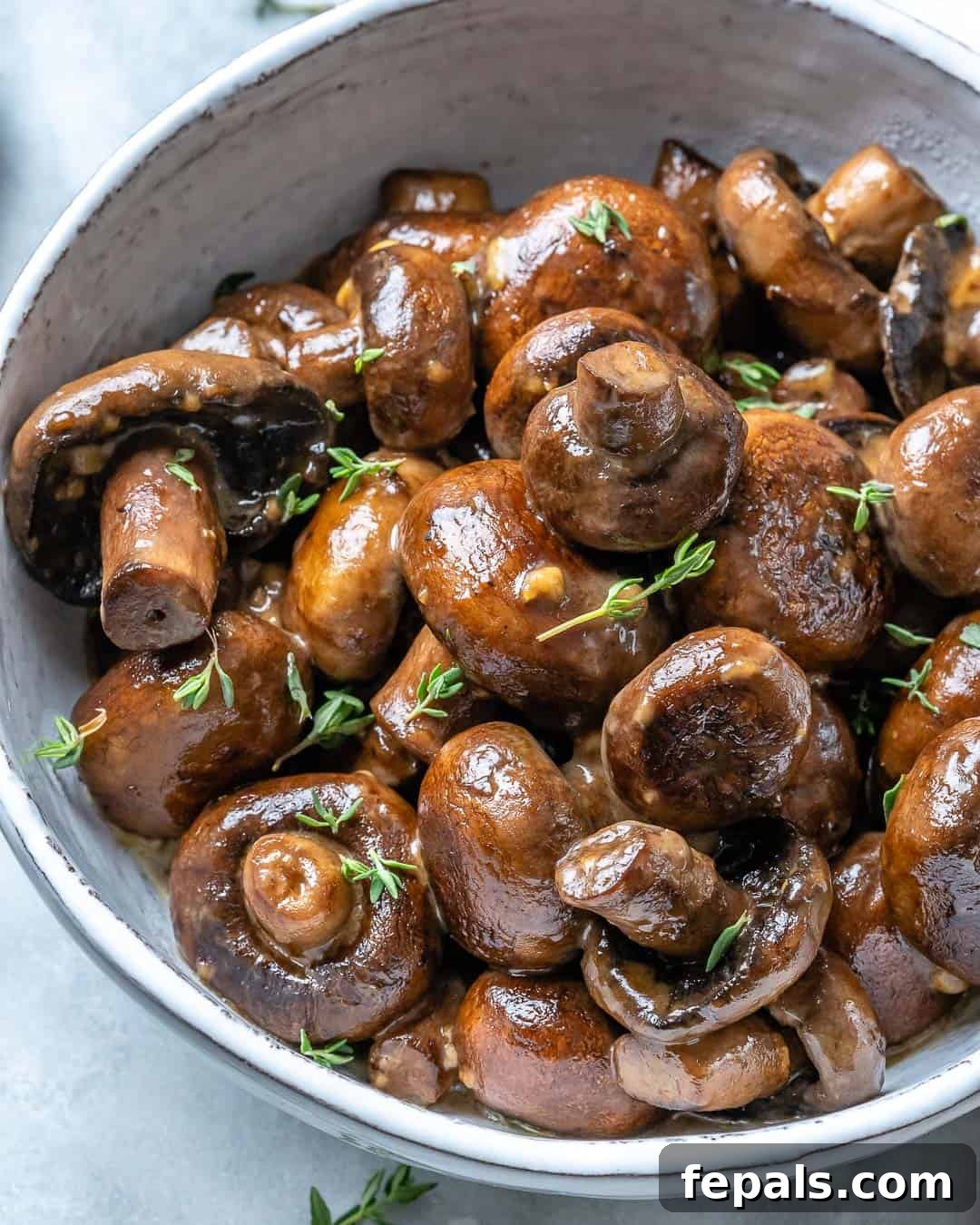 creamy garlic mushroom recipe