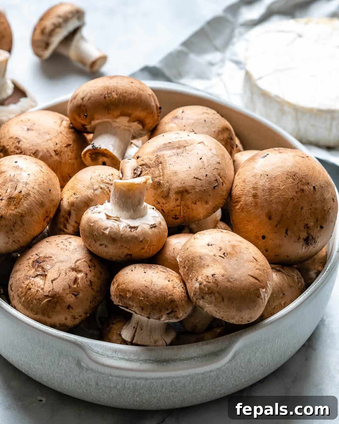 raw mushrooms in a round white plate