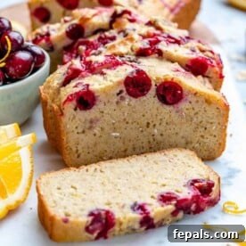 Close up of a slice of Cranberry Orange Bread showing its moist texture