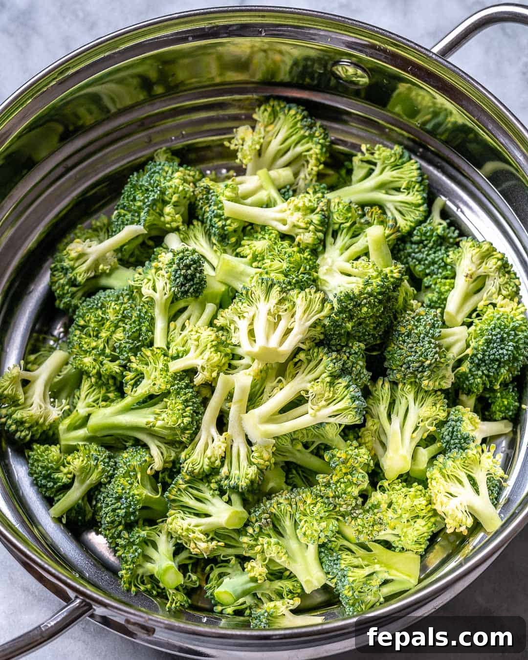 broccoli vegetable steamed for mac and cheese