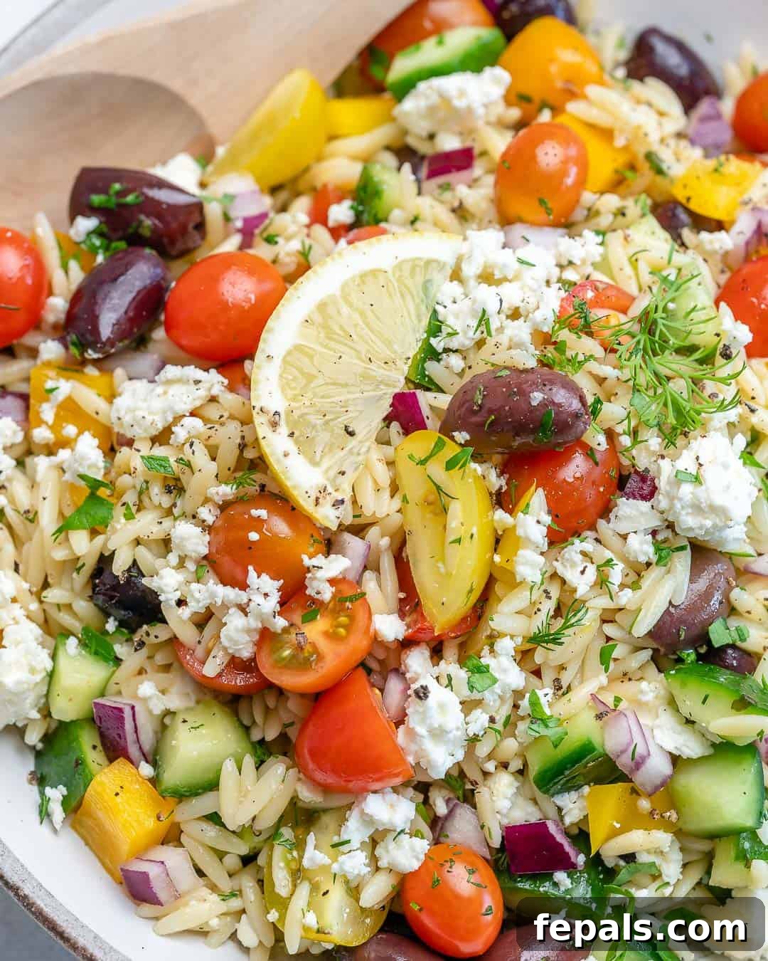 Mediterranean Orzo Delight 5 Classic Greek Orzo Salad Dish