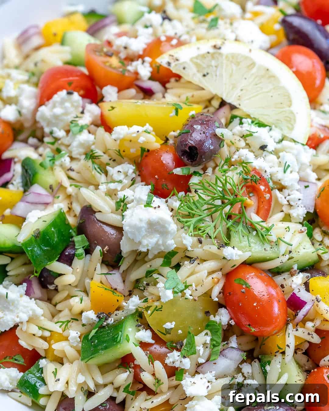 Mediterranean Orzo Delight 7 Simple Orzo Salad Recipe with Mediterranean Flavors