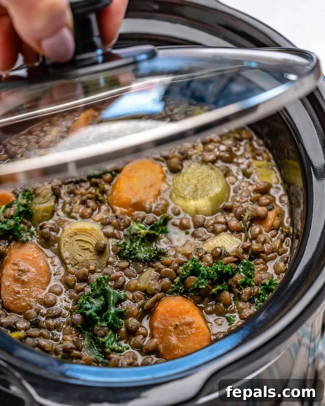 Nourishing Vegan Lentil Soup 6 The lid being gently removed from a slow cooker, revealing a rich, steaming whole lentil soup, ready to be served. The texture of the lentils and vegetables is inviting.