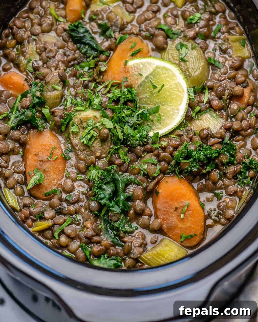 Nourishing Vegan Lentil Soup 7 A large slow cooker showcasing a perfectly cooked whole lentil soup, rich with tender carrots and vibrant kale, indicating a wholesome and ready-to-serve meal.