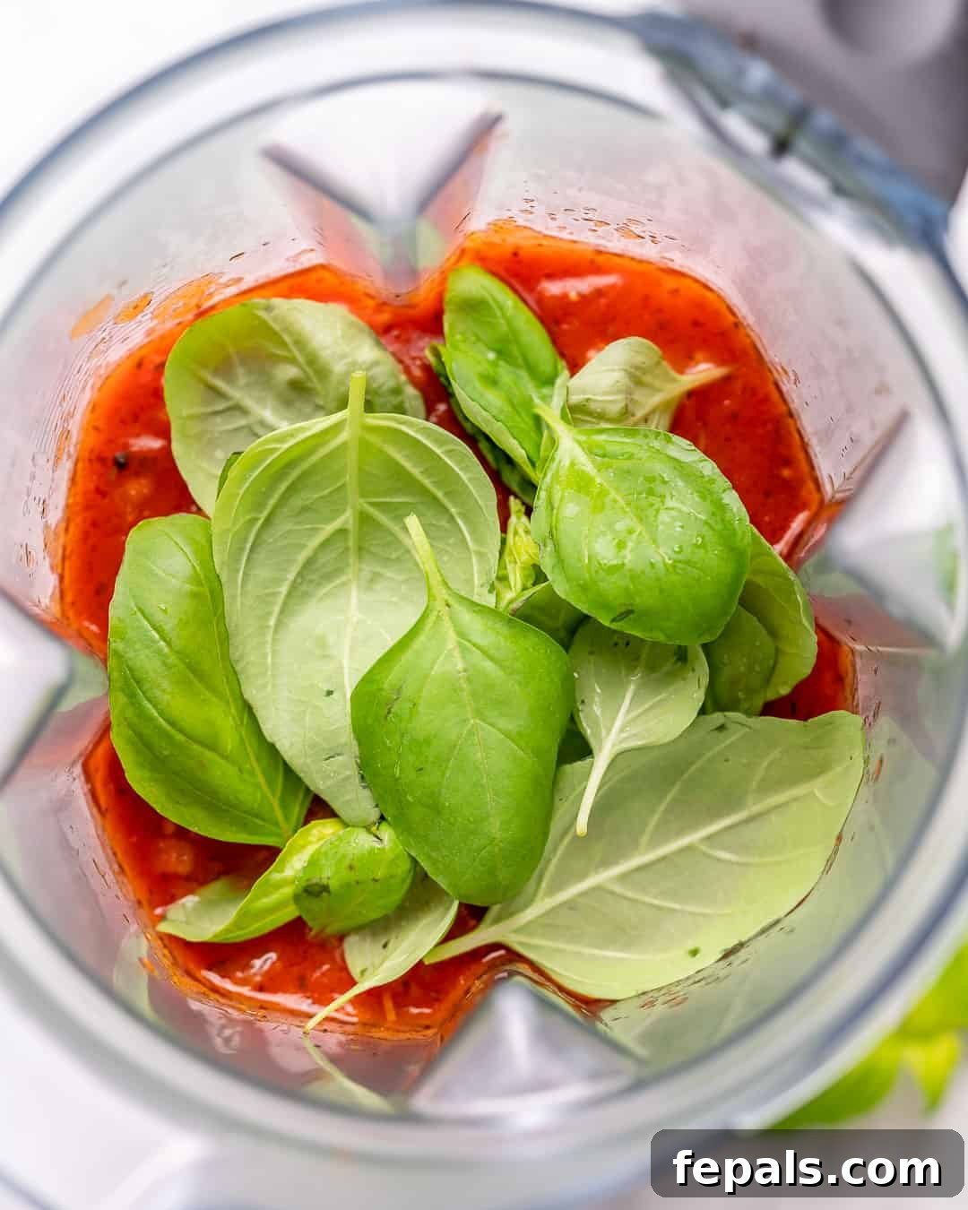 Cooked marinara sauce and fresh basil leaves being added to a blender.