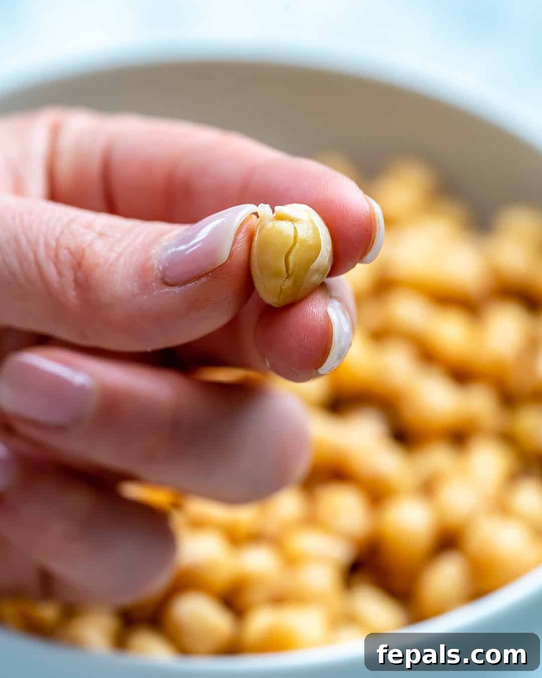 Simple Steps to Creamy Homemade Hummus 5 Fingers holding a single peeled chickpea, showing the thin skin removed.